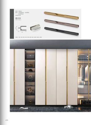 6063 Aluminum Alloy Anodizing Finish Wardrobe Door Frame Aluminum Profile