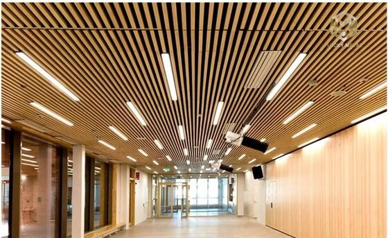 Decorative False Aluminum U Shape Baffle Ceiling for Wall, Garage, Corridor, Hall, Shop, Showroom, Airport